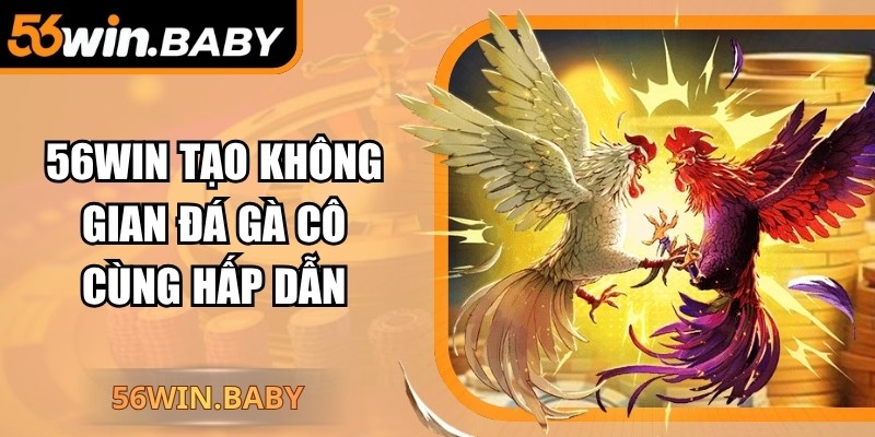 56Win tạo không gian đá gà vô cùng hấp dẫn