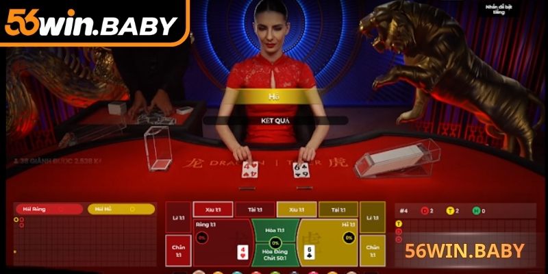 Phân tích xác suất các cửa để đặt cược linh hoạt